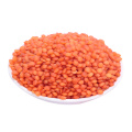 Wholesale High Quality Organic Red split Lentils With Out Husk